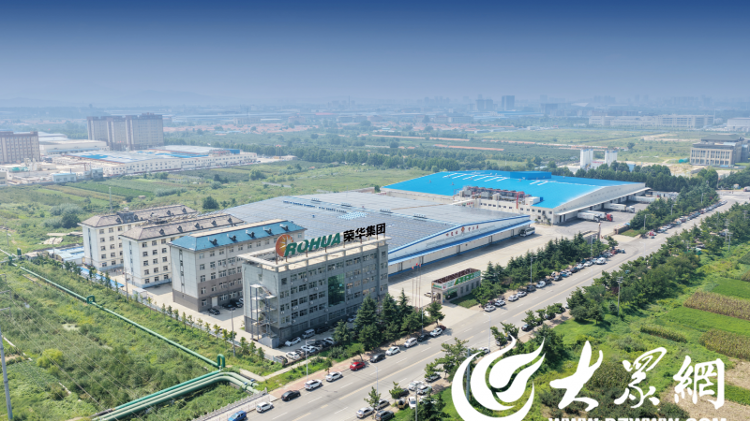 食品：固守正道坚持特色构建全产业链发展格局CQ9电子有限公司【烟台肉鸡四十载】荣华(图3)